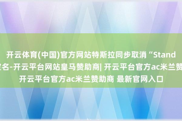 开云体育(中国)官方网站特斯拉同步取消“Standard”（圭臬版）定名-开云平台网站皇马赞助商| 开云平台官方ac米兰赞助商 最新官网入口