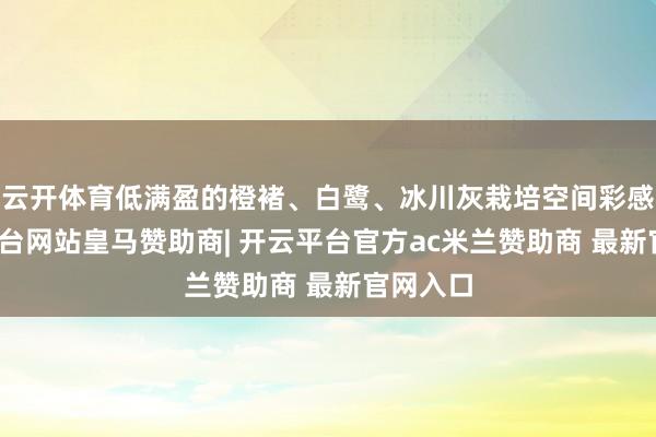 云开体育低满盈的橙褚、白鹭、冰川灰栽培空间彩感-开云平台网站皇马赞助商| 开云平台官方ac米兰赞助商 最新官网入口