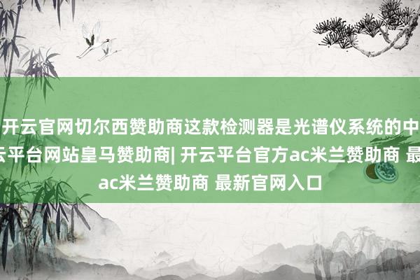 开云官网切尔西赞助商这款检测器是光谱仪系统的中枢部件-开云平台网站皇马赞助商| 开云平台官方ac米兰赞助商 最新官网入口
