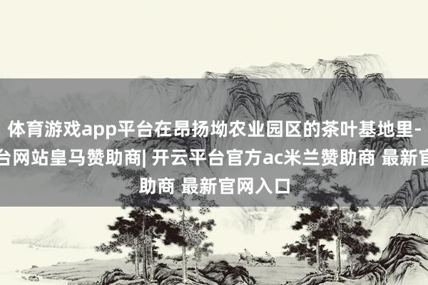 体育游戏app平台在昂扬坳农业园区的茶叶基地里-开云平台网站皇马赞助商| 开云平台官方ac米兰赞助商 最新官网入口